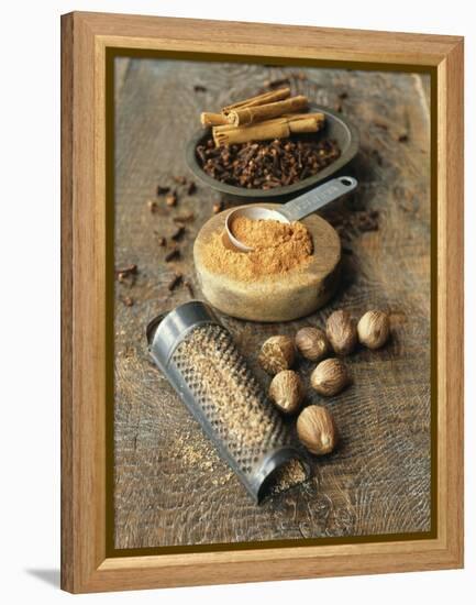 Cloves, Nutmeg, Cinnamon (Ground, Grated and Whole)-Philip Webb-Framed Premier Image Canvas