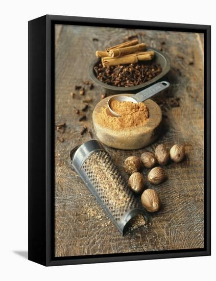 Cloves, Nutmeg, Cinnamon (Ground, Grated and Whole)-Philip Webb-Framed Premier Image Canvas