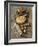 Cloves, Nutmeg, Cinnamon (Ground, Grated and Whole)-Philip Webb-Framed Photographic Print