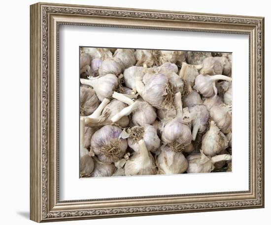 Cloves of Garlic for Sale in Market, Nazareth, Israel-Merrill Images-Framed Photographic Print