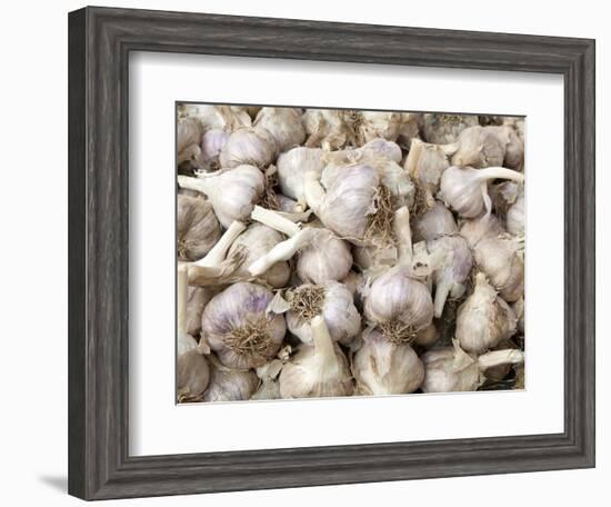 Cloves of Garlic for Sale in Market, Nazareth, Israel-Merrill Images-Framed Photographic Print