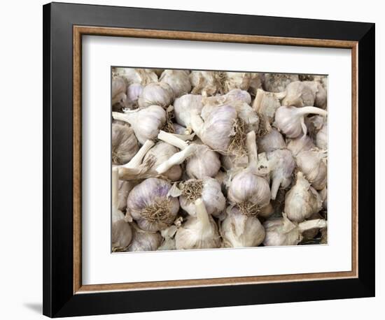 Cloves of Garlic for Sale in Market, Nazareth, Israel-Merrill Images-Framed Photographic Print