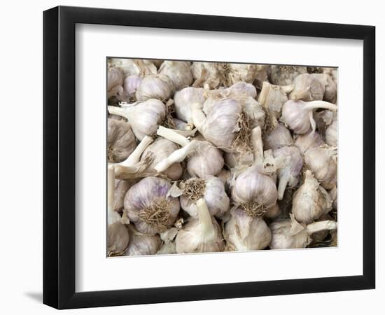 Cloves of Garlic for Sale in Market, Nazareth, Israel-Merrill Images-Framed Photographic Print