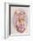 Clown and Ball-Philippe Alfieri-Framed Collectable Print