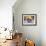 Clown Celebrates During a Colourful Historical Carnival Procession in Wasungen, Germany-null-Framed Photographic Print displayed on a wall