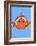 Clown Fish On Blue-null-Framed Art Print