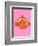 Clown Fish On Pink-null-Framed Giclee Print