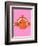 Clown Fish On Pink-null-Framed Giclee Print