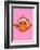 Clown Fish On Pink-null-Framed Giclee Print