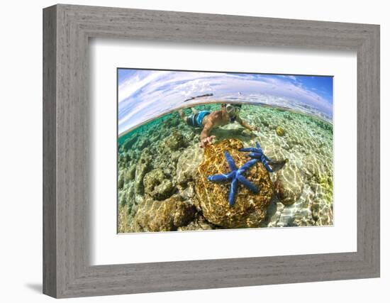 Clown Fish Portrait in Anemone-Bernard Radvaner-Framed Photographic Print