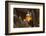 Clown Fish Portrait in Anemone-Bernard Radvaner-Framed Photographic Print