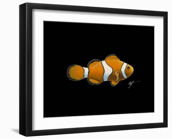 Clown Fish-Durwood Coffey-Framed Giclee Print