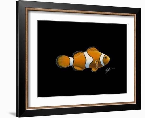 Clown Fish-Durwood Coffey-Framed Giclee Print