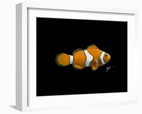 Clown Fish-Durwood Coffey-Framed Giclee Print