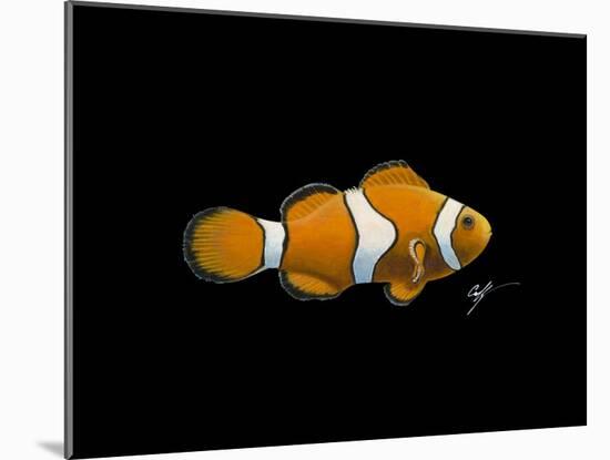Clown Fish-Durwood Coffey-Mounted Giclee Print