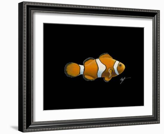 Clown Fish-Durwood Coffey-Framed Giclee Print