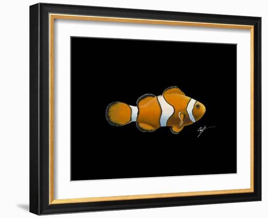 Clown Fish-Durwood Coffey-Framed Giclee Print