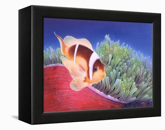 Clown Fish-Durwood Coffey-Framed Premier Image Canvas