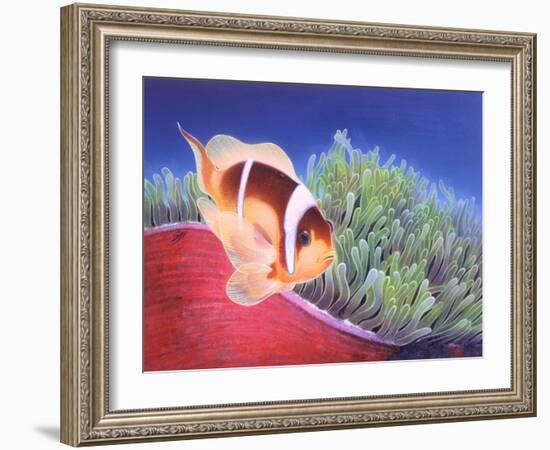 Clown Fish-Durwood Coffey-Framed Giclee Print