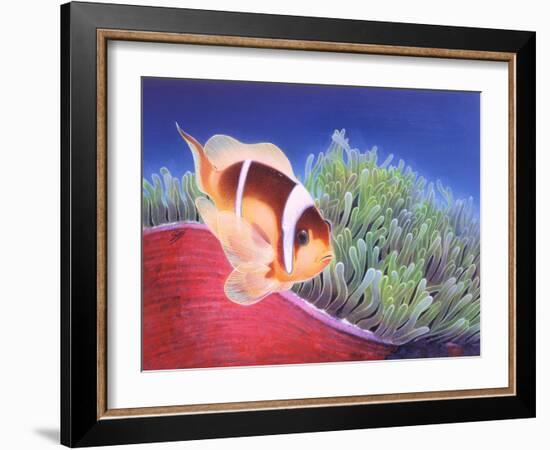Clown Fish-Durwood Coffey-Framed Giclee Print