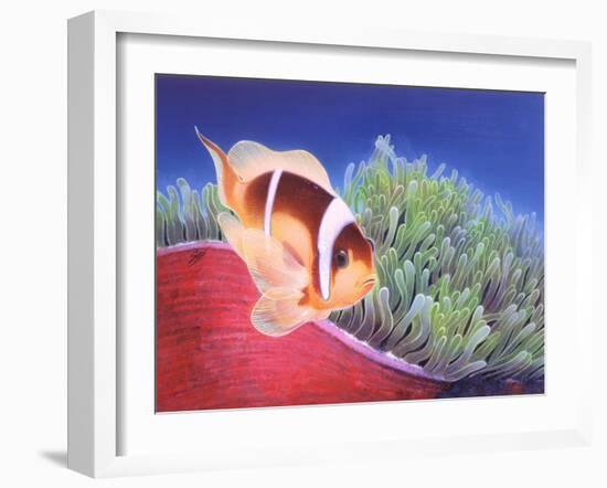 Clown Fish-Durwood Coffey-Framed Giclee Print