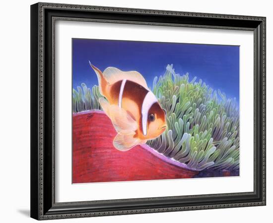 Clown Fish-Durwood Coffey-Framed Giclee Print