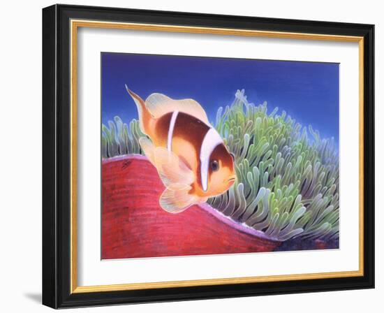 Clown Fish-Durwood Coffey-Framed Giclee Print