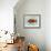 Clown Fish-Teofilo Olivieri-Framed Giclee Print displayed on a wall