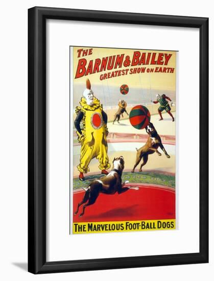 Clown Perform with the Marvelous Foot-Ball Dogs in the Barnum and Bailey Circus, 1900-null-Framed Art Print