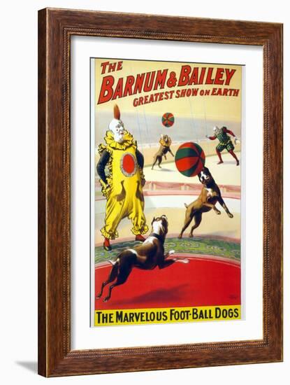 Clown Perform with the Marvelous Foot-Ball Dogs in the Barnum and Bailey Circus, 1900-null-Framed Art Print