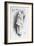 'Clown Sketch', c1893, (1894)-Bernard Partridge-Framed Giclee Print