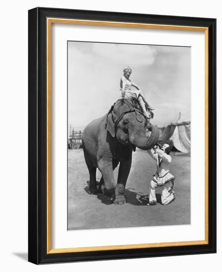 Clowning Around-null-Framed Photo