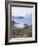 Clsoe-Up of a Wandering Albatross on Nest, Prion Island, South Georgia, Atlantic-Geoff Renner-Framed Photographic Print