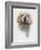 Clumber Spaniel-Barbara Keith-Framed Giclee Print