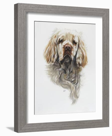 Clumber Spaniel-Barbara Keith-Framed Giclee Print