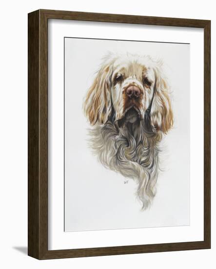 Clumber Spaniel-Barbara Keith-Framed Giclee Print