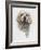 Clumber Spaniel-Barbara Keith-Framed Giclee Print