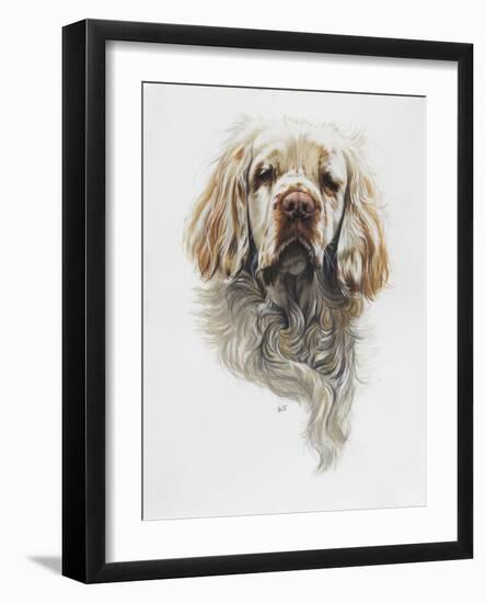 Clumber Spaniel-Barbara Keith-Framed Giclee Print