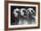 Clumber Spaniels-Thomas Fall-Framed Photographic Print