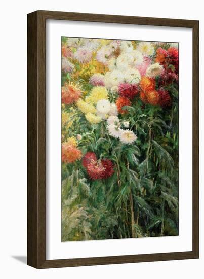 Clump of Chrysanthemums, Garden at Petit Gennevilliers, 1893-Gustave Caillebotte-Framed Giclee Print