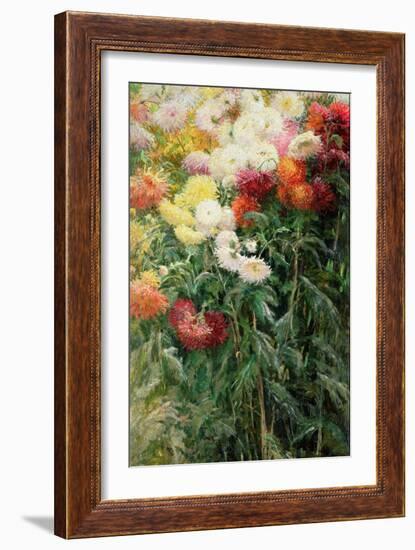 Clump of Chrysanthemums, Garden at Petit Gennevilliers, 1893-Gustave Caillebotte-Framed Giclee Print