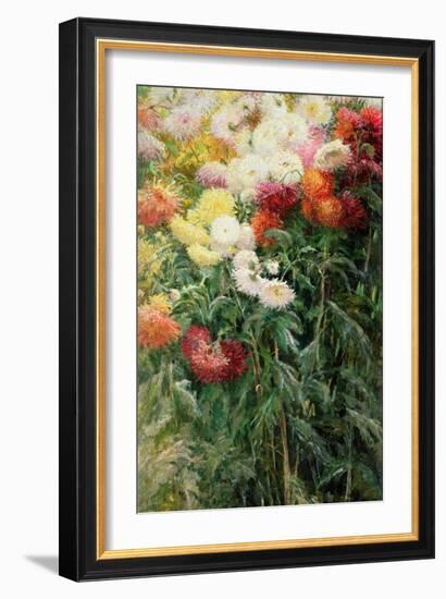 Clump of Chrysanthemums, Garden at Petit Gennevilliers, 1893-Gustave Caillebotte-Framed Giclee Print