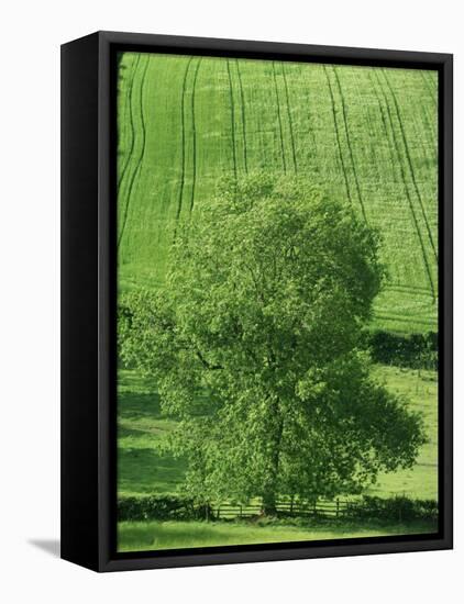 Clun Valley, Shropshire, England, United Kingdom, Europe-Woolfitt Adam-Framed Premier Image Canvas