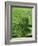 Clun Valley, Shropshire, England, United Kingdom, Europe-Woolfitt Adam-Framed Photographic Print