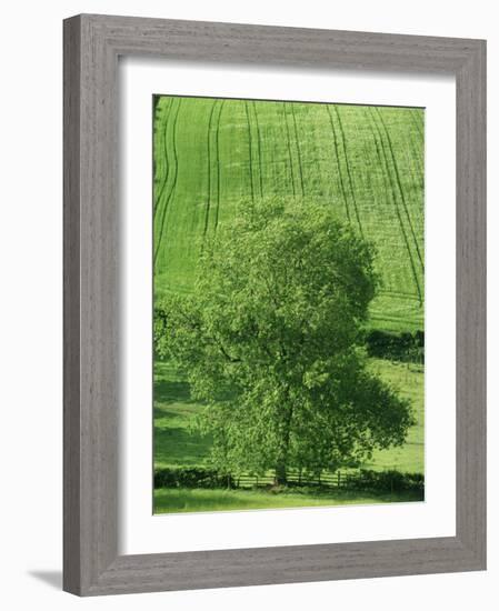 Clun Valley, Shropshire, England, United Kingdom, Europe-Woolfitt Adam-Framed Photographic Print