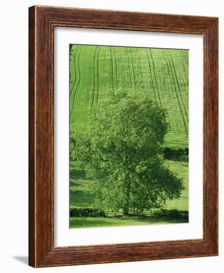 Clun Valley, Shropshire, England, United Kingdom, Europe-Woolfitt Adam-Framed Photographic Print