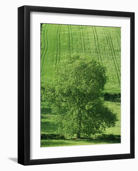 Clun Valley, Shropshire, England, United Kingdom, Europe-Woolfitt Adam-Framed Photographic Print