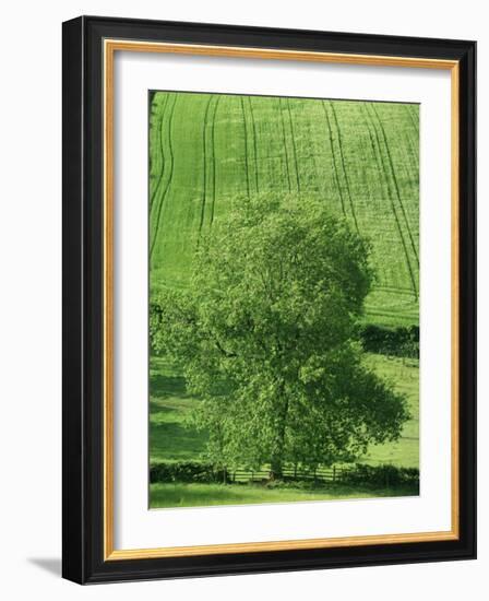 Clun Valley, Shropshire, England, United Kingdom, Europe-Woolfitt Adam-Framed Photographic Print