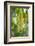 Cluster Flowers Vertical-Sheila Haddad-Framed Photographic Print