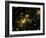 Cluster of Galaxies, Abell 2218, in Constellation Draco from Hubble Space Telescope-Andrew Fruchter-Framed Photographic Print